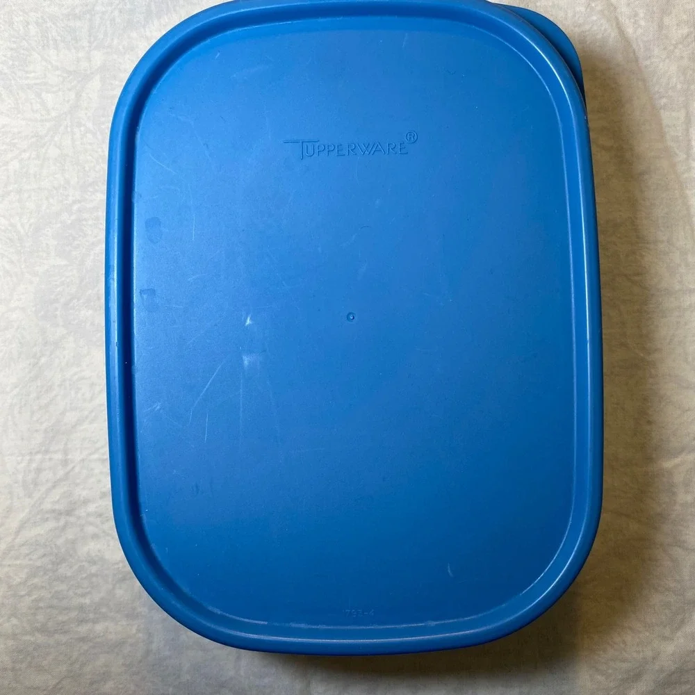Tupperware owned organize from